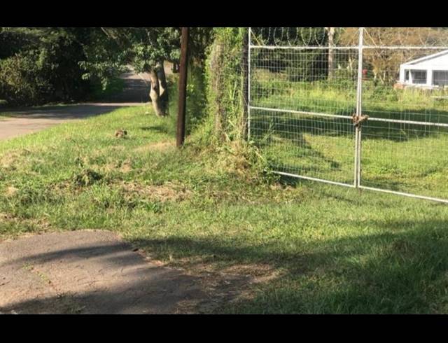 2,516M² VACANT LAND SOLD IN BEREA WEST
